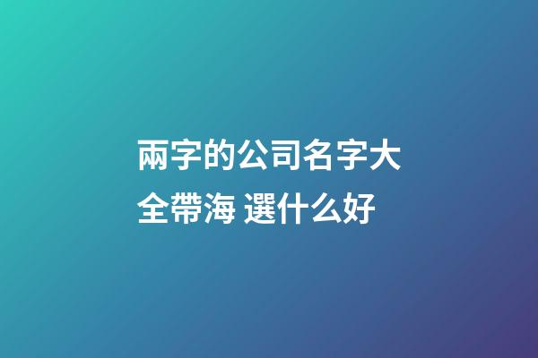 兩字的公司名字大全帶海 選什么好-第1張-公司起名-玄機派